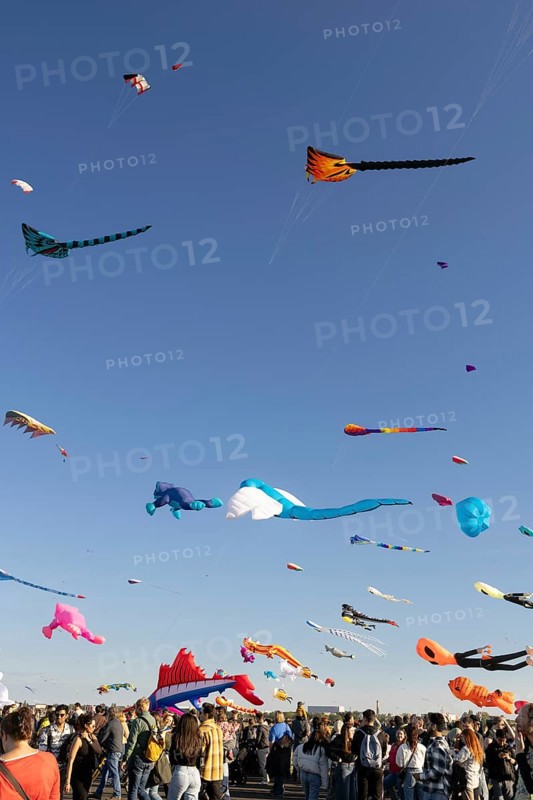 CITY AND COUNTRY Festival of GIANT DRAGONS 2025, 27 September 2025, Tempelhofer Feld, Berlin, Germany < english> CITY AND COUNTRY Festival of Giant Dragons 2025, September 27, 2025, Tempelhofer Feld, Berlin, Germany