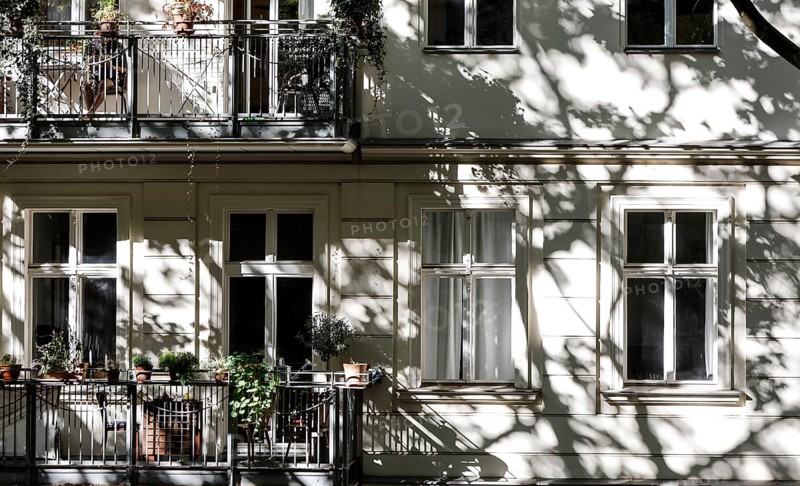 Facade of a multi-storey residential building with classical architecture with balconies with plants, shadows of leaves and branches on the house wall, Berlin, 24.09.2025, Berlin, Berlin, Germany