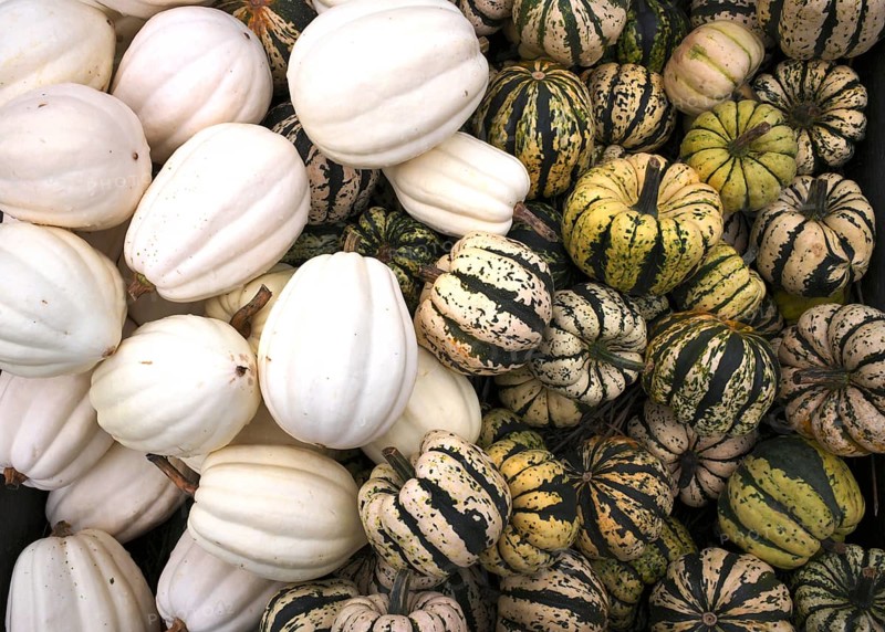 Acorn Squash, sweet dumpling, pumpkin, pumpkins, stall, market, Stuttgart, Baden-Württemberg, Germany