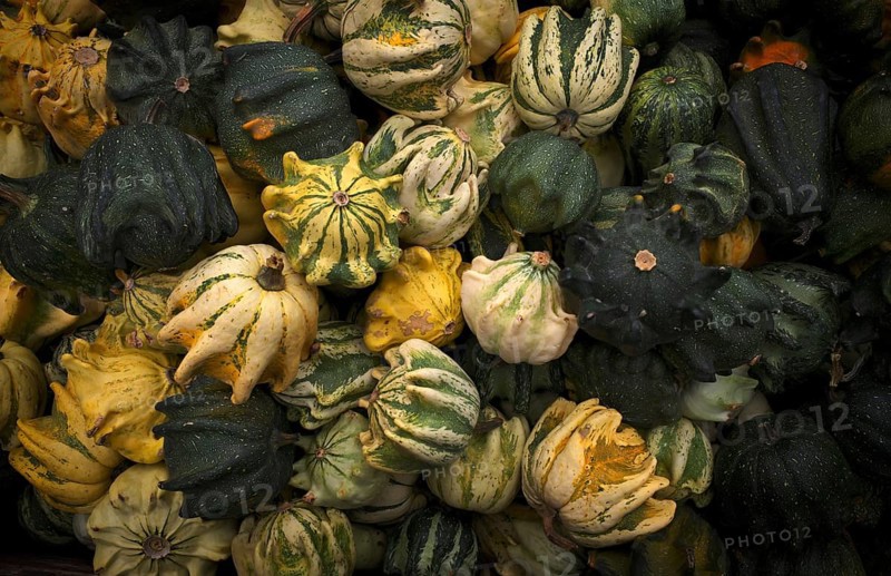 Crown ornamental pumpkin, crown pumpkin, pumpkin, pumpkins, stall, market, Stuttgart, Baden-Württemberg, Germany