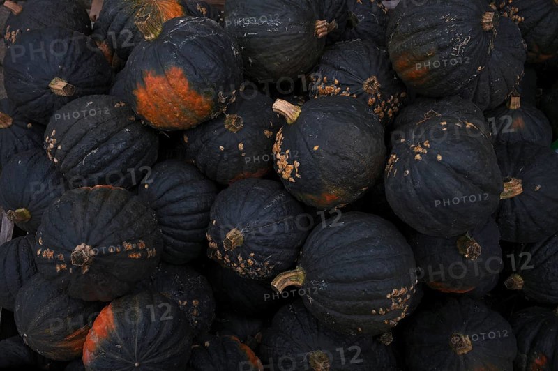 Green Hokkaido pumpkin, pumpkins, stall, market, Stuttgart, Baden-Württemberg, Germany