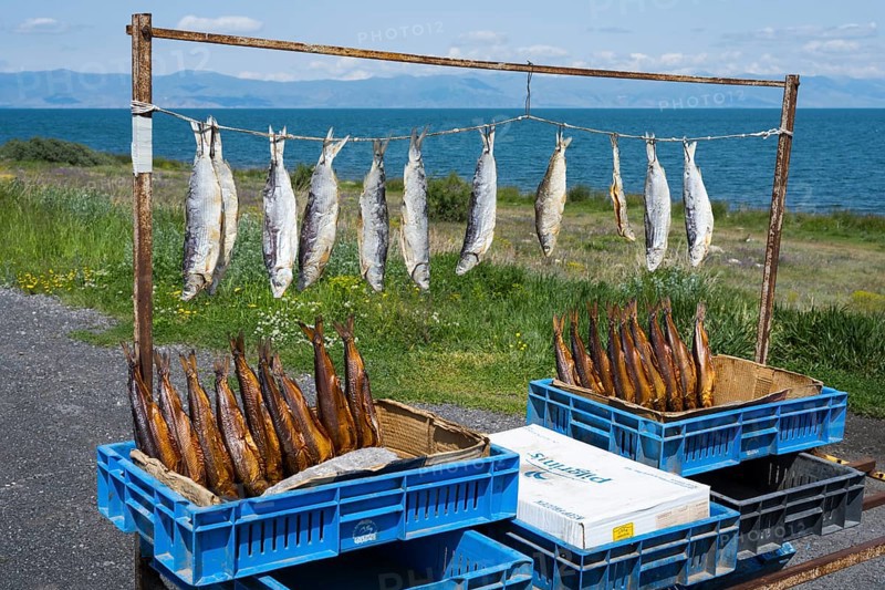 Smoked and fresh fish hanging on a rack for sale next to a lake in a rural setting, fish sale on the western shore of Lake Sevan, Gegharkunik province, Armenia