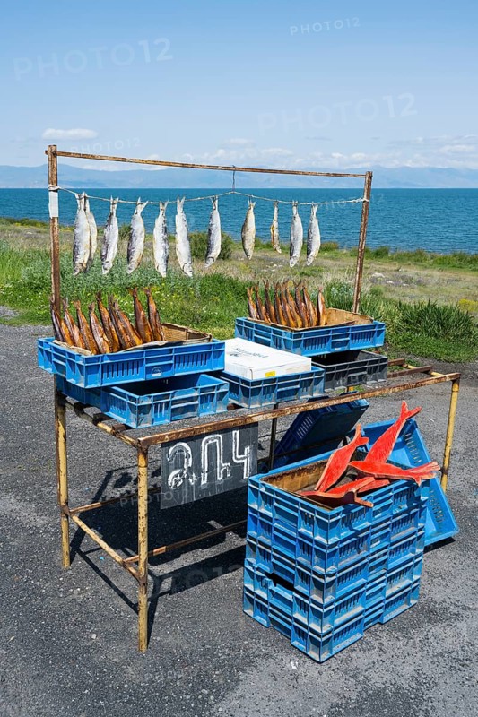An improvised stall selling fresh and smoked fish near a lake under a clear sky, fish sale on the western shore of Lake Sevan, Gegharkunik province, Armenia