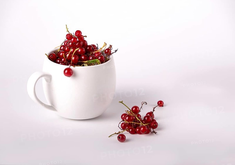 Red currant in a white mug, copy space
