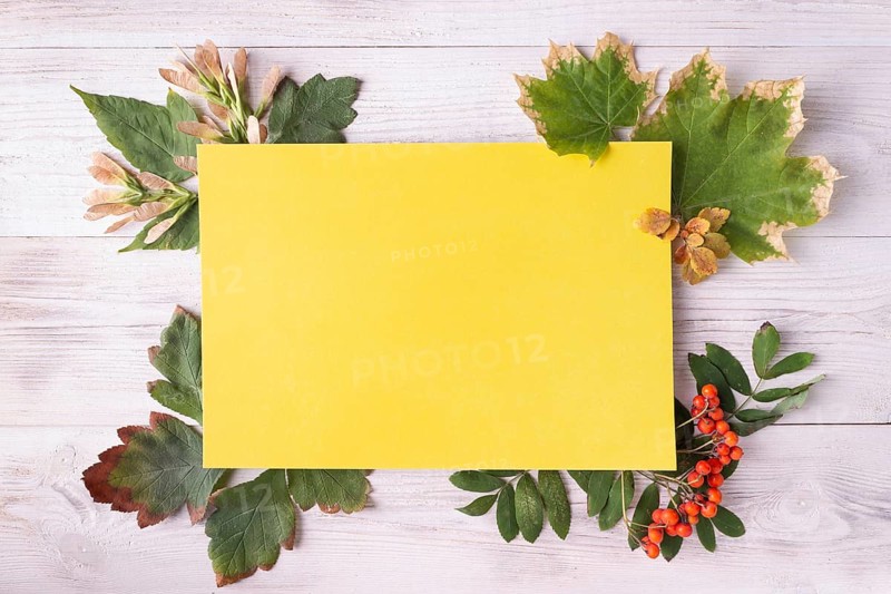Yellow blank card, greeting card concept with leaves, fall and autumn