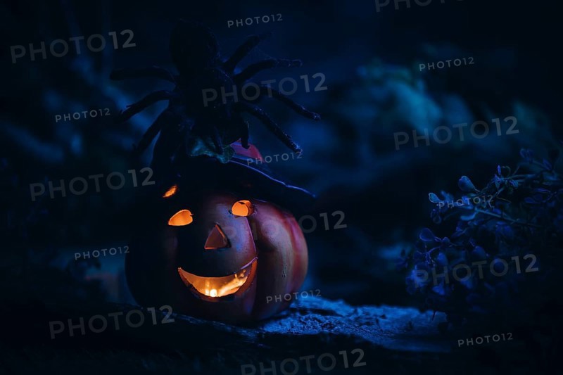 Spider on a glowing pumpkin lantern, mystical Halloween atmosphere