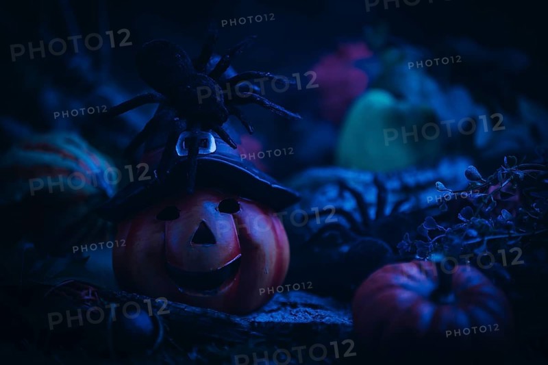 Pumpkin lantern with spider, surrounded by spooky Halloween decorations
