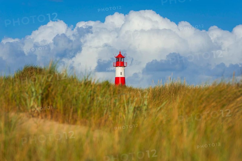The Lister lighthouse at Ellenbogen, morning light, morning mood, dune, North Sea island, Sylt
