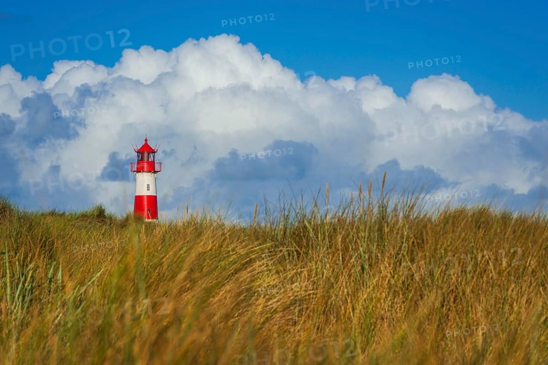 The Lister lighthouse at Ellenbogen, morning light, morning mood, dune, North Sea island, Sylt