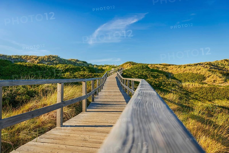 Footbridge, path, wooden walkway through the dunes, Sylt