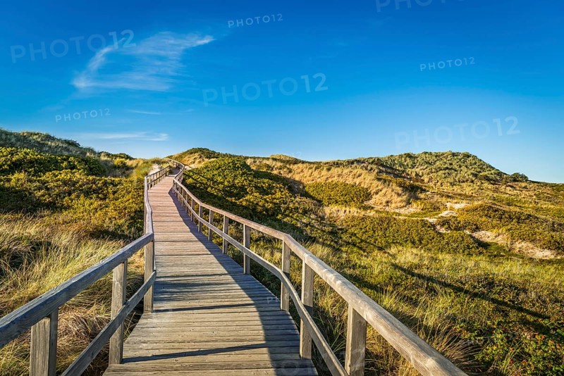Footbridge, path, wooden walkway through the dunes, Sylt