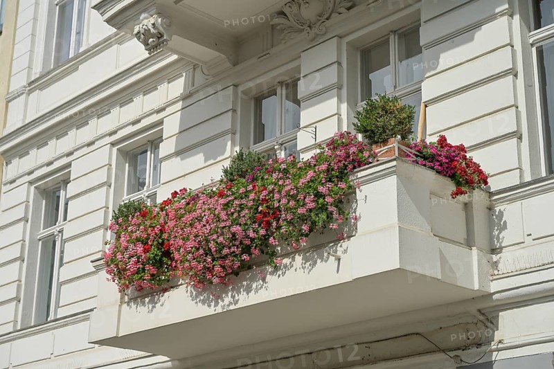 Old building, balcony, geraniums, Winterfeldtstraße, Schöneberg, Tempelhof-Schöneberg, Berlin, Germany