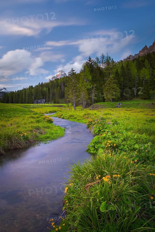 View along the stream Fiume Ansiei over a forest in the direction of the Three Peaks, Punta Sorapiss, Dolomites, South Tyrol, Italy