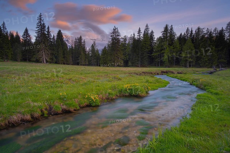 View along the Fiume Ansiei stream over a forest to the Sorapis mountain group in the evening light, Punta Sorapiss, Dolomites, South Tyrol, Italy
