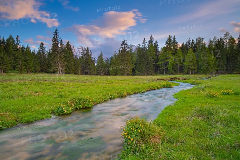 View along the Fiume Ansiei stream over a forest to the Sorapis mountain group in the evening light, Punta Sorapiss, Dolomites, South Tyrol, Italy