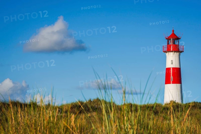 The Lister lighthouse at Ellenbogen, morning light, morning mood, dune, North Sea island, Sylt