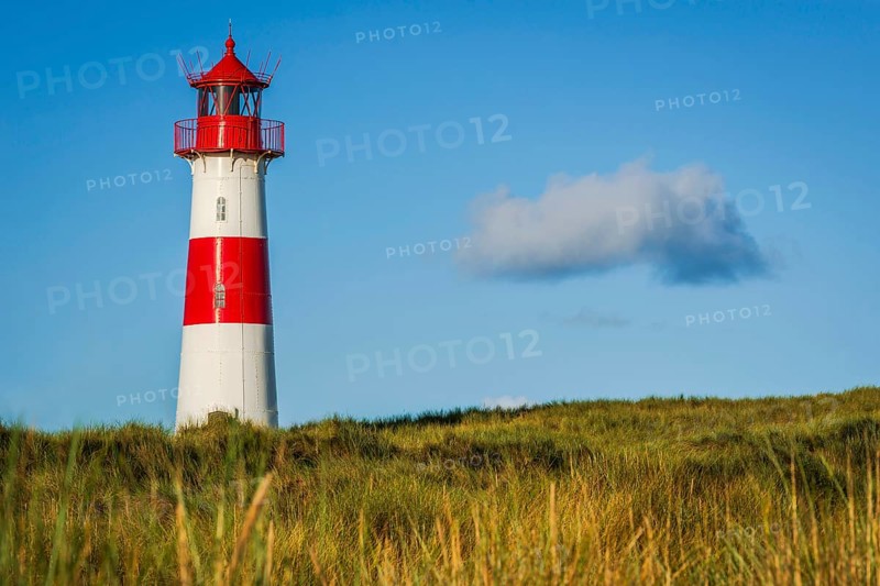 The Lister lighthouse at Ellenbogen, morning light, morning mood, dune, North Sea island, Sylt