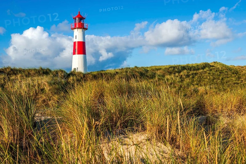 The Lister lighthouse at Ellenbogen, morning light, morning mood, dune, North Sea island, Sylt
