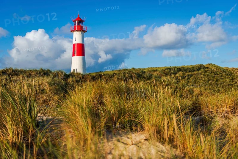 The Lister lighthouse at Ellenbogen, morning light, morning mood, dune, North Sea island, Sylt