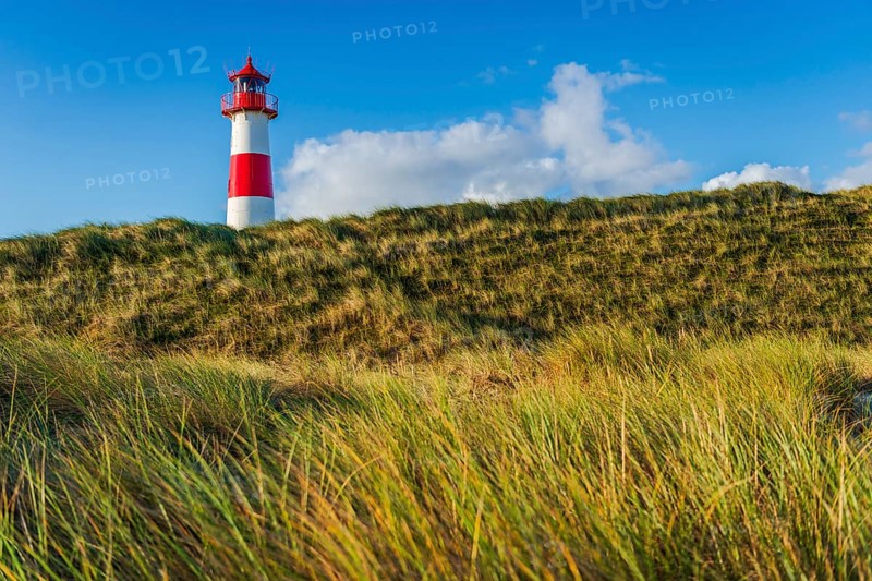 The Lister lighthouse at Ellenbogen, morning light, morning mood, dune, North Sea island, Sylt