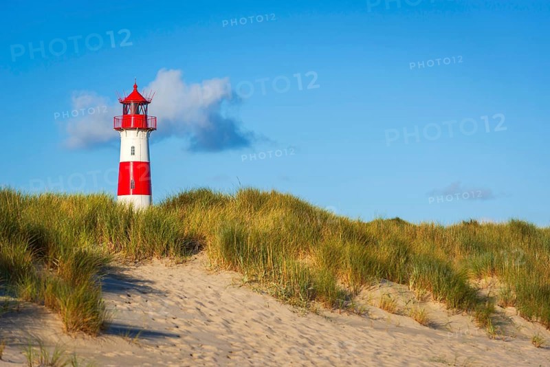 The Lister lighthouse at Ellenbogen, morning light, morning mood, dune, North Sea island, Sylt