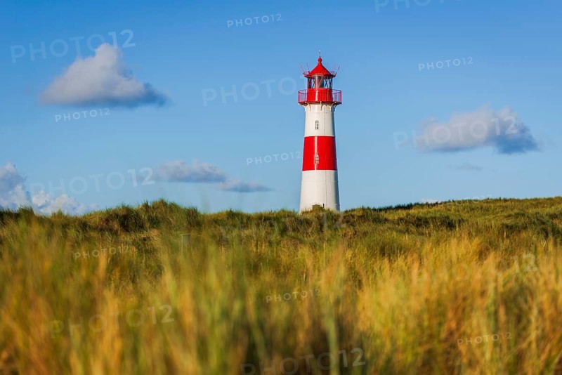 The Lister lighthouse at Ellenbogen, morning light, morning mood, dune, North Sea island, Sylt