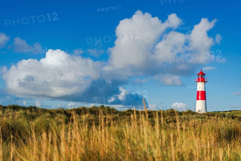 The Lister lighthouse at Ellenbogen, morning light, morning mood, dune, North Sea island, Sylt