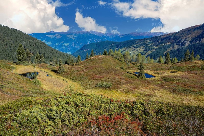 Moor pond on the Kleiner Gamsstein, with the Zillertal Alps behind it, Kleiner Gamsstein, Tuxer Voralpen, Tyrol, Austria