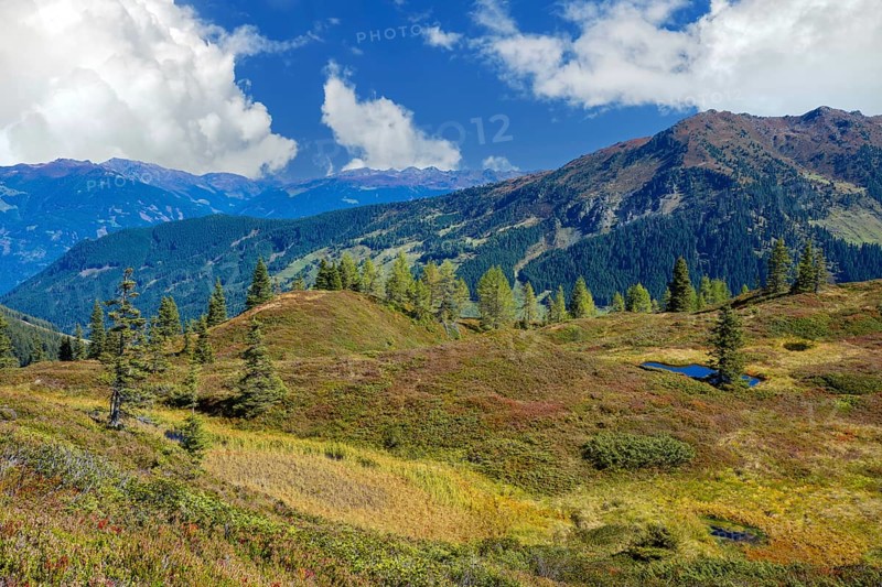 Moor pond on the Kleiner Gamsstein, with the Zillertal Alps behind it, Kleiner Gamsstein, Tuxer Voralpen, Tyrol, Austria
