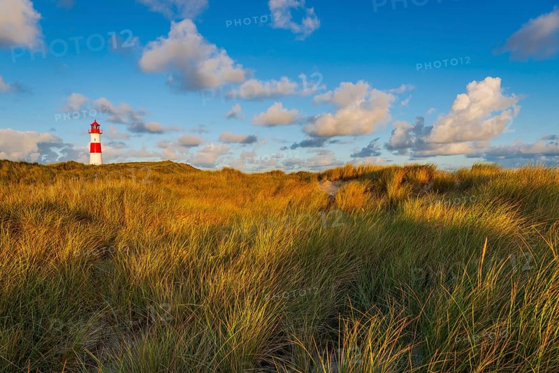 The Lister lighthouse at Ellenbogen, morning light, morning mood, dune, North Sea island, Sylt