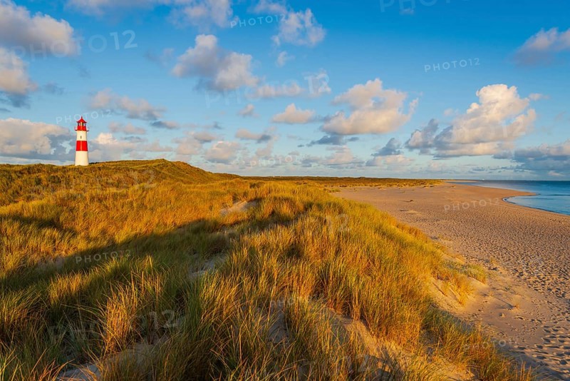 The Lister lighthouse at Ellenbogen, morning light, morning mood, dune, North Sea island, Sylt