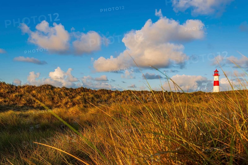 The Lister lighthouse at Ellenbogen, morning light, morning mood, dune, North Sea island, Sylt