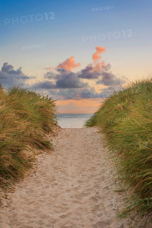 Path through the dunes in the morning light, wanderlust, holiday, North Sea, Sylt