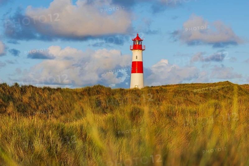 The Lister lighthouse at Ellenbogen, morning light, morning mood, dune, North Sea island, Sylt