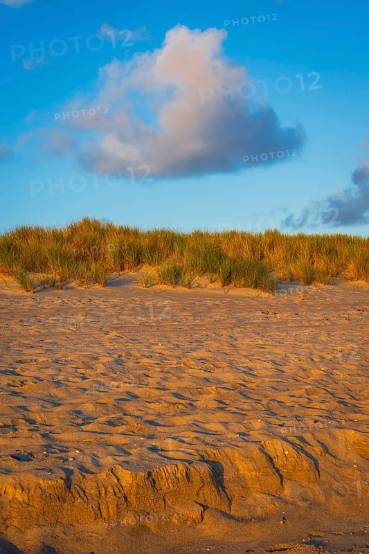 Sandy beach beach with dune and cloud in the morning light, Ellenbogen, Sylt