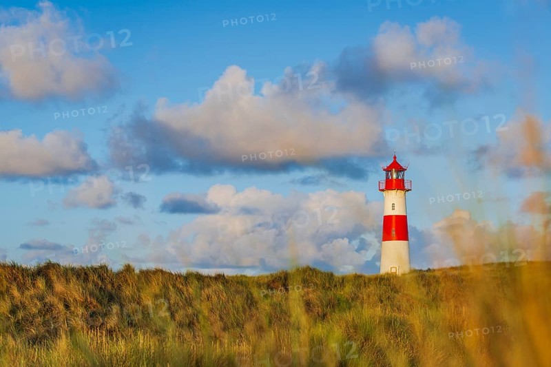 The Lister lighthouse at Ellenbogen, morning light, morning mood, dune, North Sea island, Sylt