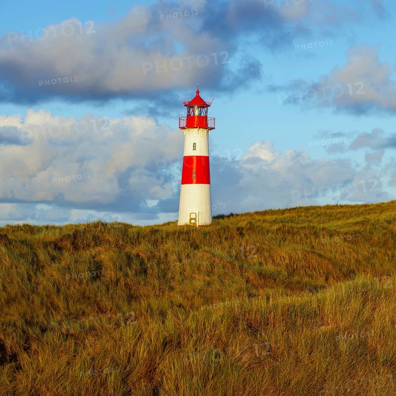 The Lister lighthouse at Ellenbogen, morning light, morning mood, dune, North Sea island, Sylt