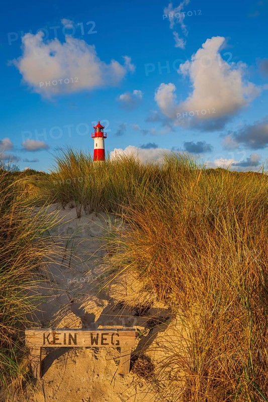 Nature reserve at Lister Ellenbogen, dunes, ban, no access, Sylt
