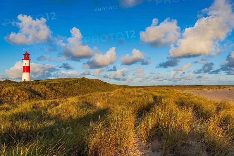 The Lister lighthouse at Ellenbogen, morning light, morning mood, dune, North Sea island, Sylt