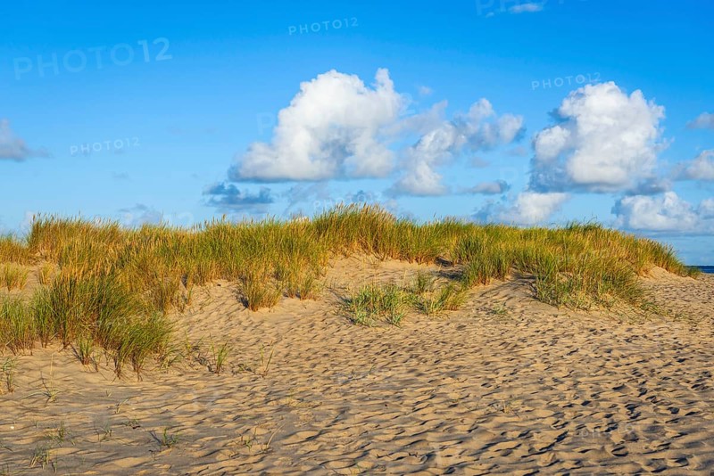 Lonely sandy beach in the sunny morning light at Ellenbogen, Sylt