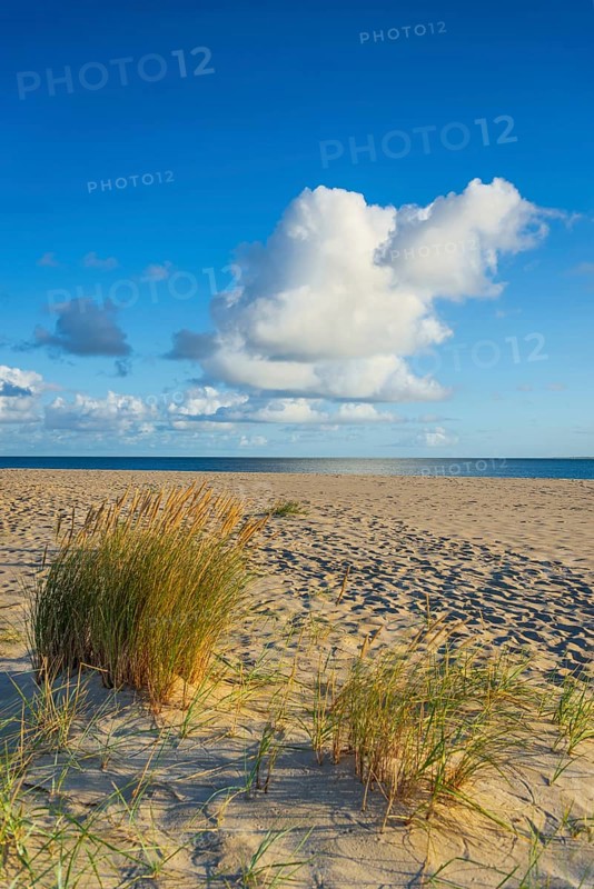 Lonely sandy beach in the sunny morning light, cloud, elbow, Sylt