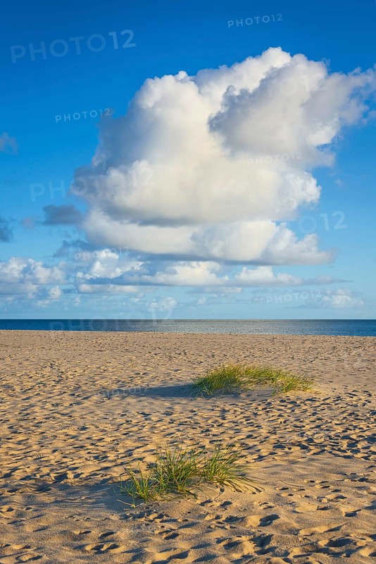 Lonely sandy beach in the sunny morning light, cloud, elbow, Sylt