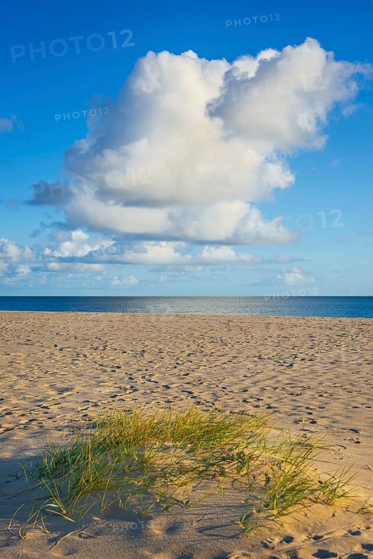 Lonely sandy beach in the sunny morning light, cloud, elbow, Sylt