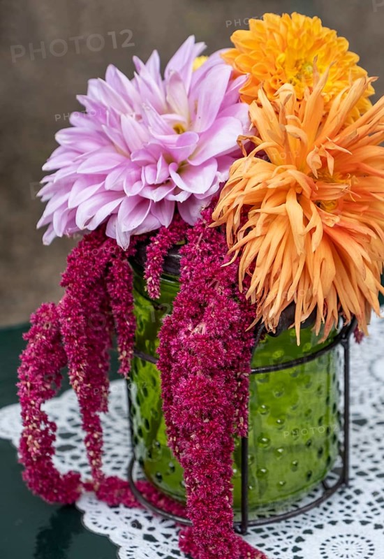 Small bouquet with dahlias and foxtail in a green glass vase, North Rhine-Westphalia, Germany