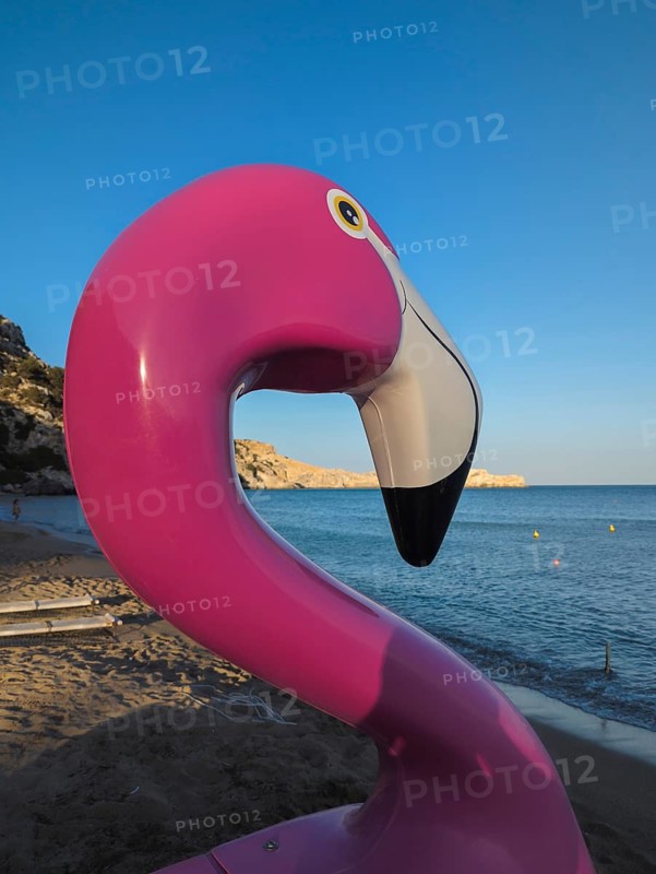 Pink flamingo pedal boat on Tsambika sandy beach with sea in the background at sunset, Tsambika beach, Archaggelos, Rhodes island, Greece
