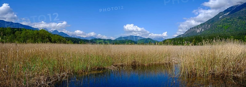 Slow Trail, reeds and springs at Lake Pressegger See, near Hermagor, Gailtal, Carinthia, Austria