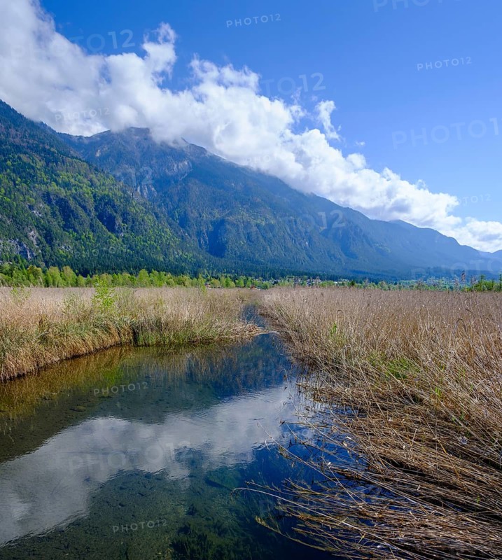 Slow Trail, reeds and springs at Lake Pressegger See, near Hermagor, Gailtal, Carinthia, Austria