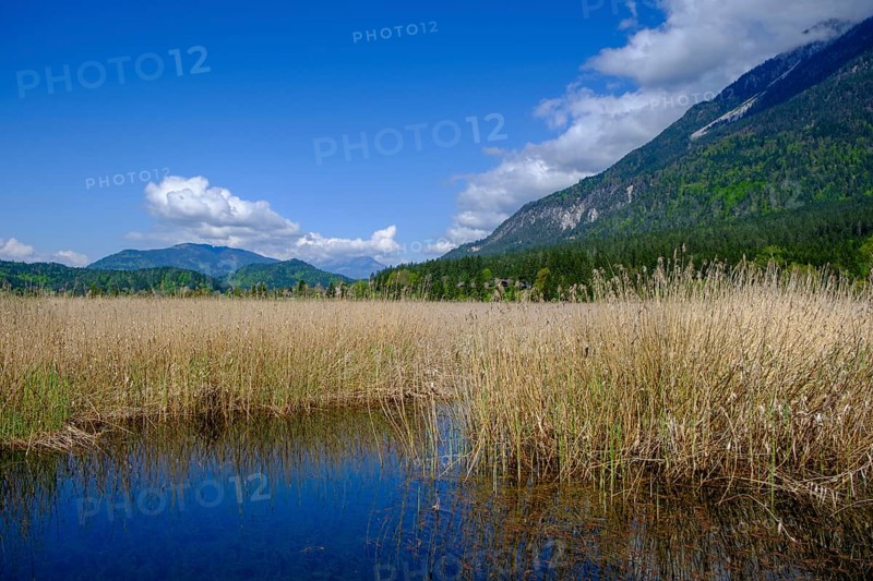 Slow Trail, reeds and springs at Lake Pressegger See, near Hermagor, Gailtal, Carinthia, Austria