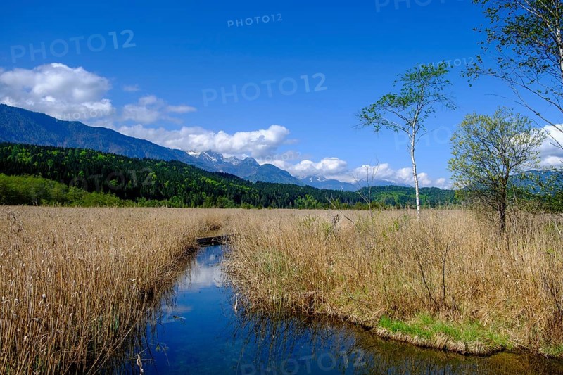 Slow Trail, reeds and springs at Lake Pressegger See, near Hermagor, Gailtal, Carinthia, Austria