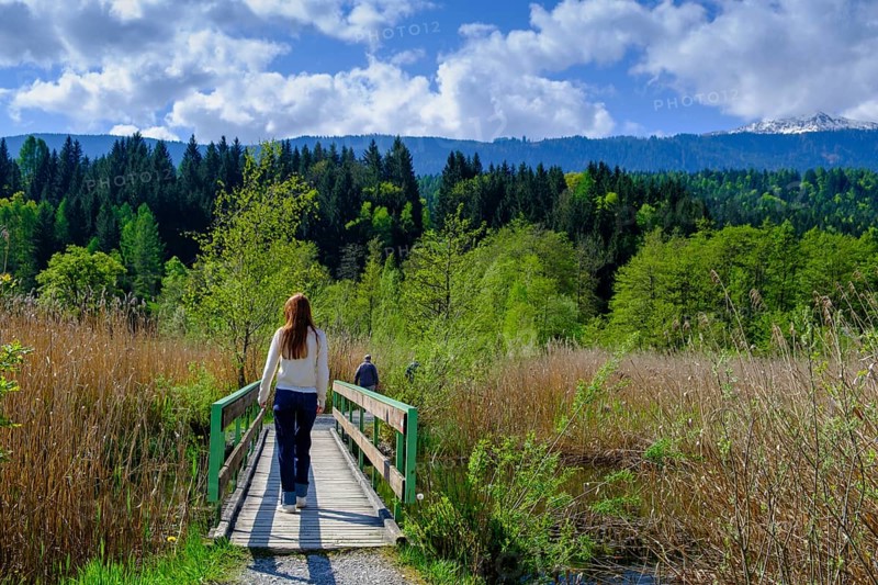 Slow Trail, reeds and springs at Lake Pressegger See, near Hermagor, Gailtal, Carinthia, Austria